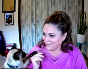 snickerdoodle's tweet image. morning meetings made better by CAT CAM! #catcam