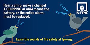 ACFDNL's tweet image. 