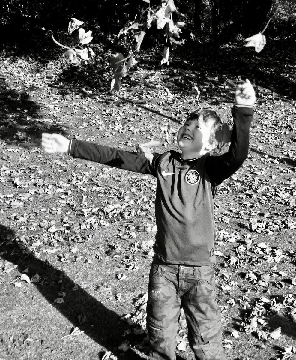 alisoncaplan's tweet photo. Our beautiful #danielcaplan catching the autumn leaves. The missing piece from our family @CaplanBrian @saulcaplan04 @DIFDCharity https://t.co/Ximyp4LObS