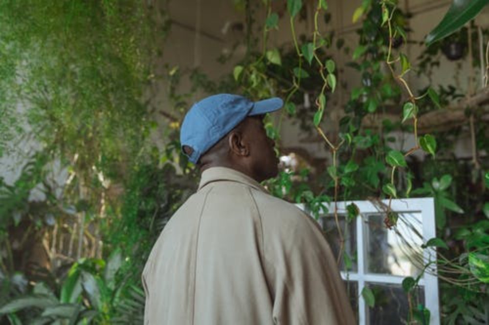 plantsolutions's tweet image. These prescribed #IndoorPlants are very good for your mental health and the following guide teaches you which rooms you should put them in. 

qoo.ly/3e7x8k

#PlantSolutions