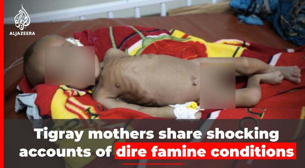 Testimonies from Tigray parents of severely malnourished children, medics, IDPs and residents who beg for food suggest dramatic worsening of situation in Ethiopia’s war-hit region.

Read more: aje.io/jtbnj3