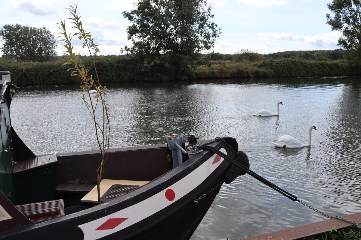 Walk along the Gloucester and Sharpness Canal today, lots of interesting river craft , swing bridges and swans. Pub lunch at the <a href="/InnSlimbridge/">Tudor Arms Slimbridge</a> 
#slimbridge #sharpness