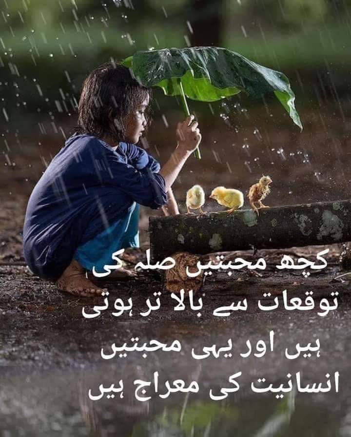 PiscesBlackout's tweet image. #logicalthoughts
@ather_hameed @27thLetterrr @safi_wajahat @RajaAbbas72 @Z_Bangash1 @aleena_superior @sandhu_hamid @MurshidSns