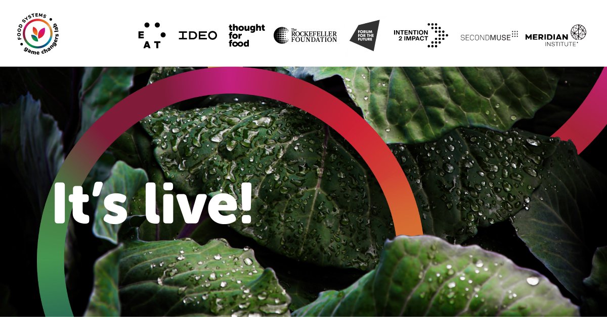 It’s here! 
The #UNFSS2021 is happening now! We’re thrilled to be sharing the report of the Food Systems Game Changers Lab, showcasing 24 Action Agendas for Change, as developed by 800+ #foodgamechangers! 

Read the full report here: ideo.in/394NaKU