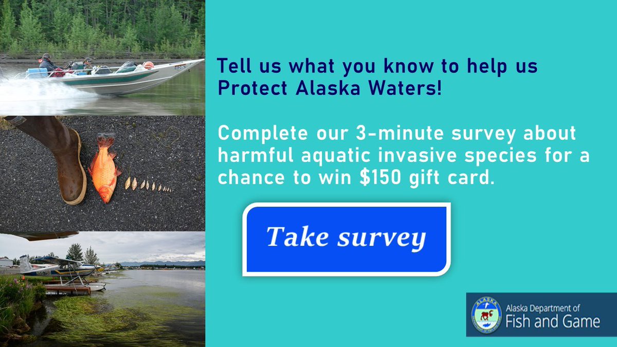 Alaska DFG-Southeast tweet media
