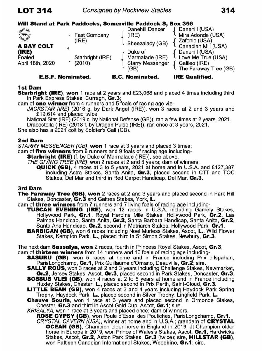 **For sale** is this lovely yearling which was expertly bought @tatts_ireland by @RStephensRacing. The pedigree pattern is in the top 2.5% of the population (rare) and the only other Fast Company on this cross is an improving 92 rated filly. Contact @RStephensRacing for more info