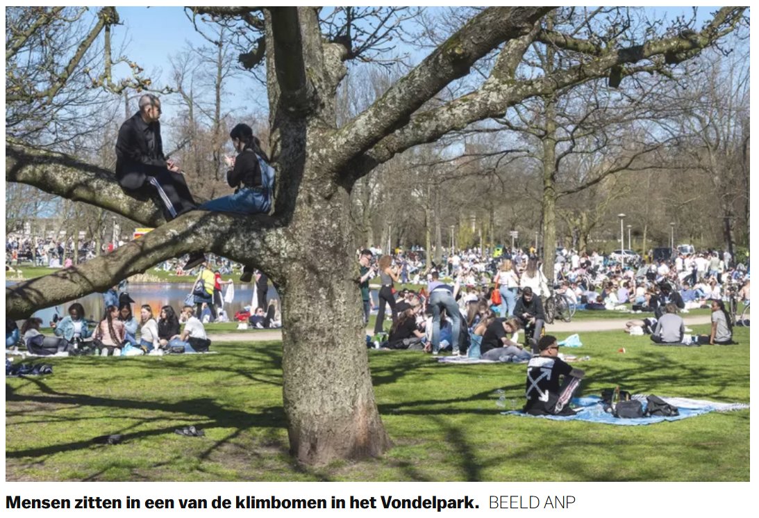 Gezocht: bomen met een verhaal parool.nl/amsterdam/hort…