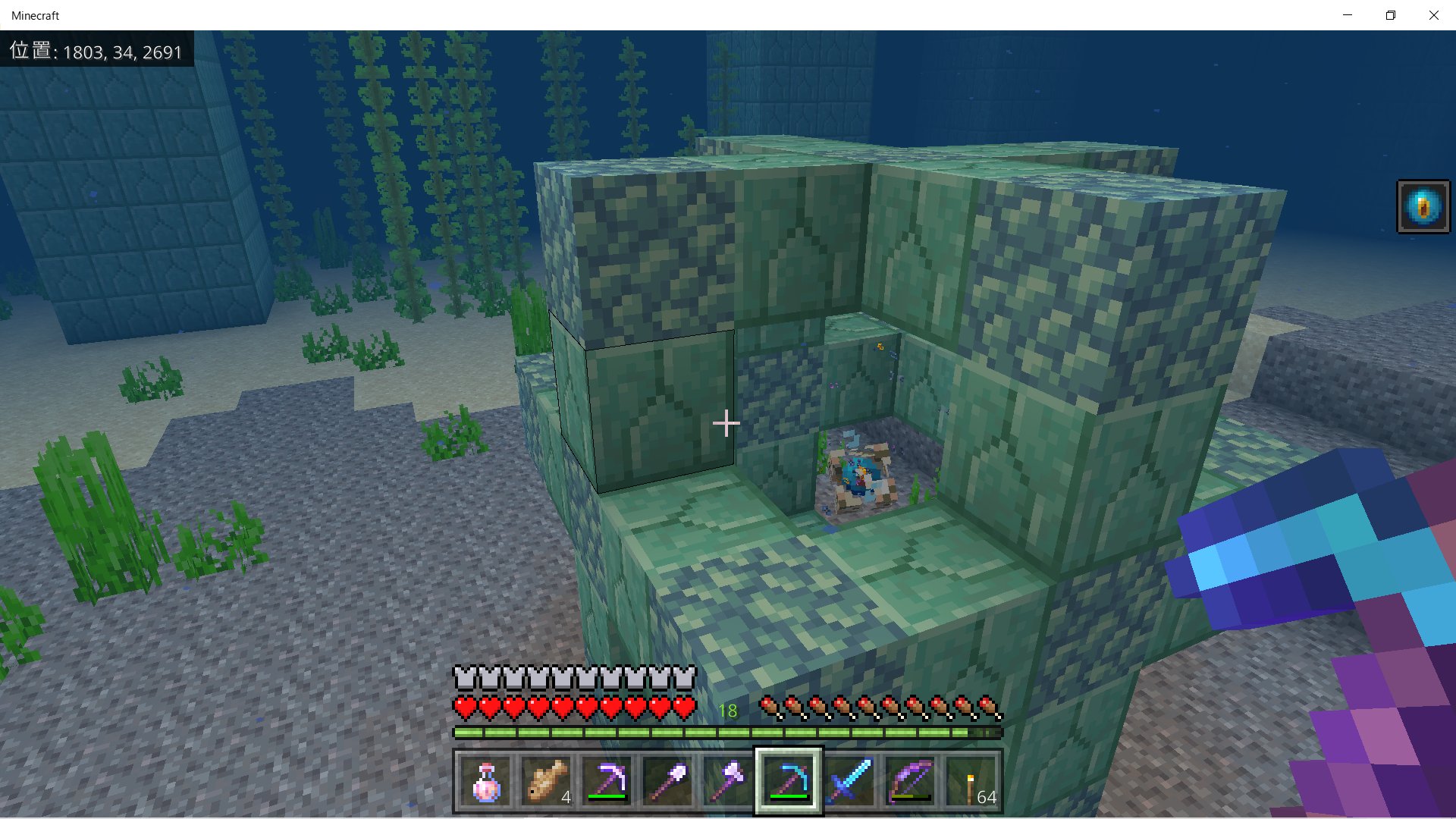 鉄鍋もにょ 今日の マイクラ コンジットが準備済みの海底神殿でスポンジ探し 見つからない 神殿の周囲でいっぱいラピスラズリ入手 新しくピンクのウーパールーパーもお迎え 実績もいくつか取れた ネザー要塞の中を駆け抜けてウィザースケルトン