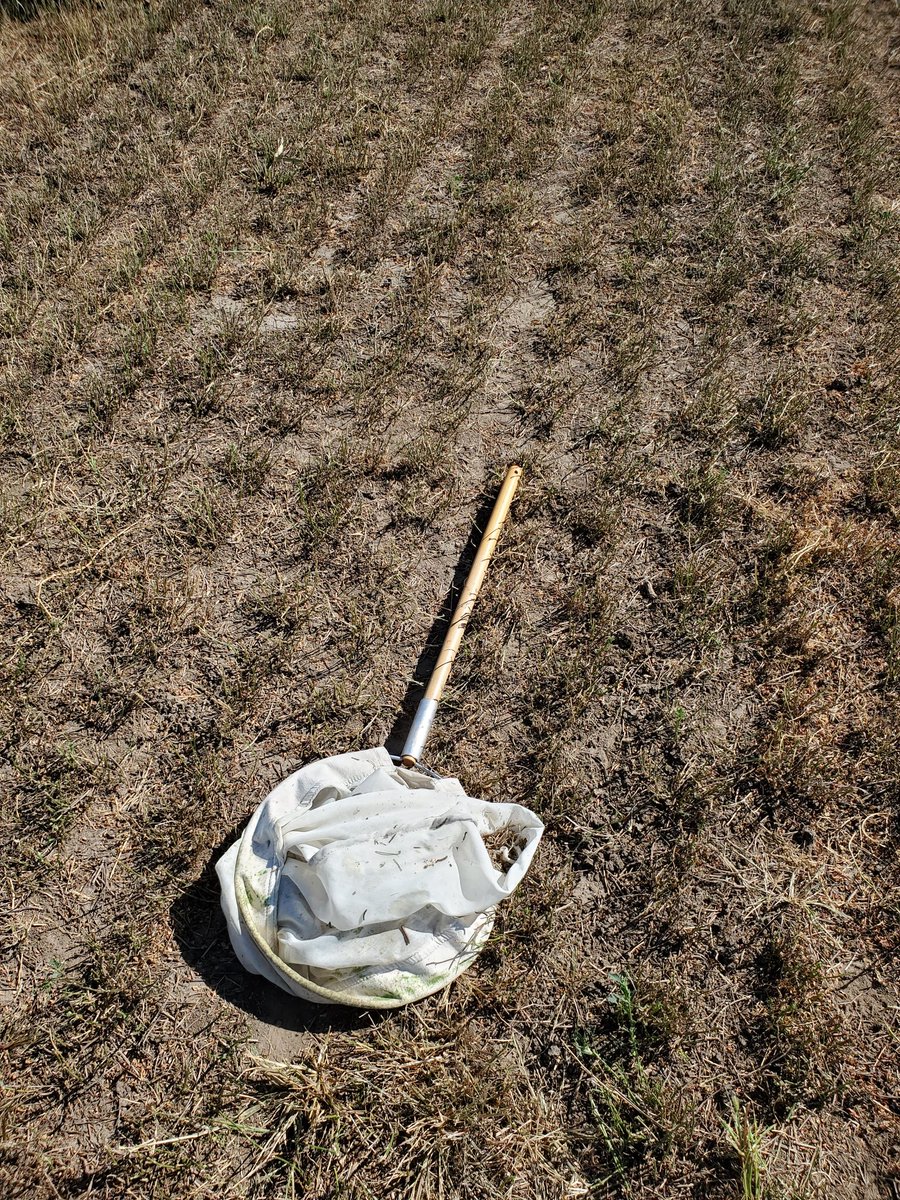 Greg Carpenter tweet media