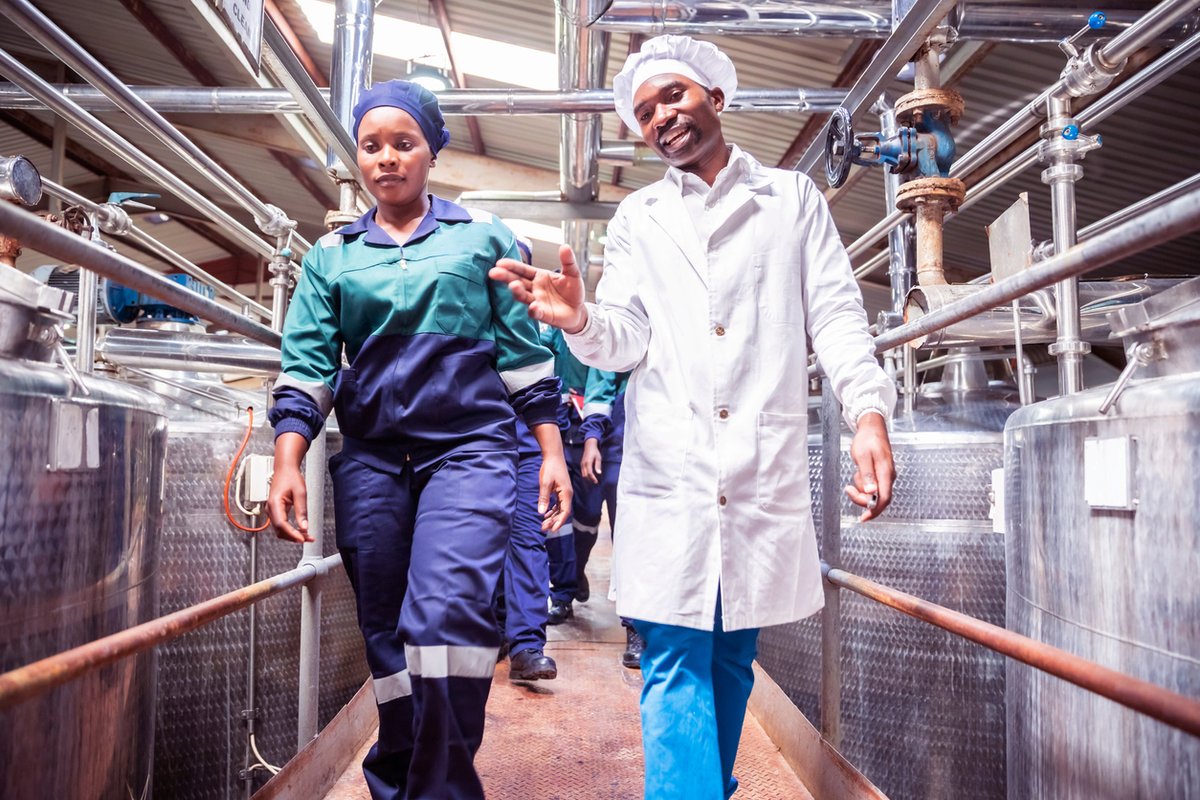 DiverseyFoodBev's tweet photo. Food Safety Education Month is a reminder of the fundamental importance of a well-trained F&B workforce. Our Hygiene Academy has an extensive range of hygiene and food safety courses to minimise your risks.
Find out more: https://t.co/fw8hrUiif7
#FSEM2021 https://t.co/9xO5yfdUcV