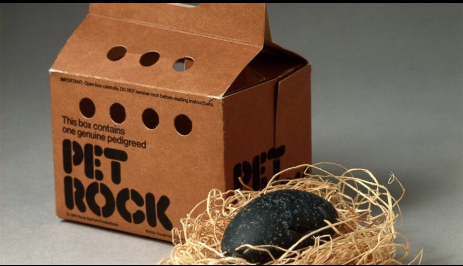 fingers777's tweet photo. @ThatEricAlper Pet Rock https://t.co/k0OTBfW823