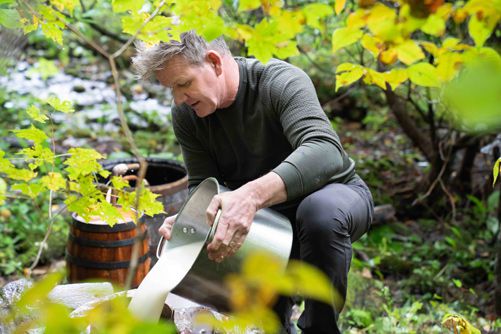 Nat Geo's 'Gordon Ramsay: Uncharted' serves up season 3 with local chefs cooking along https://t.co/AIJsjPUy7v | #Uncharted @FoxAfrica #bizpressoffice via @Biz_Lounge https://t.co/A37Zs3swmy