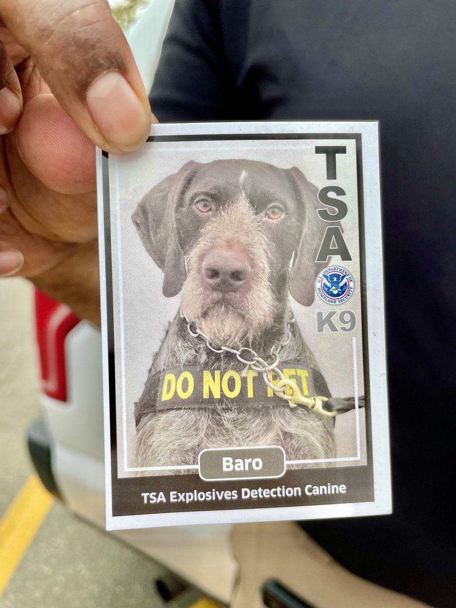 Baro, a 6-year-old German Wire-haired Pointer is making the rounds with his @TSA canine handler inside and outside Westchester County Airport this morning. https://t.co/qRTHOyNBrD