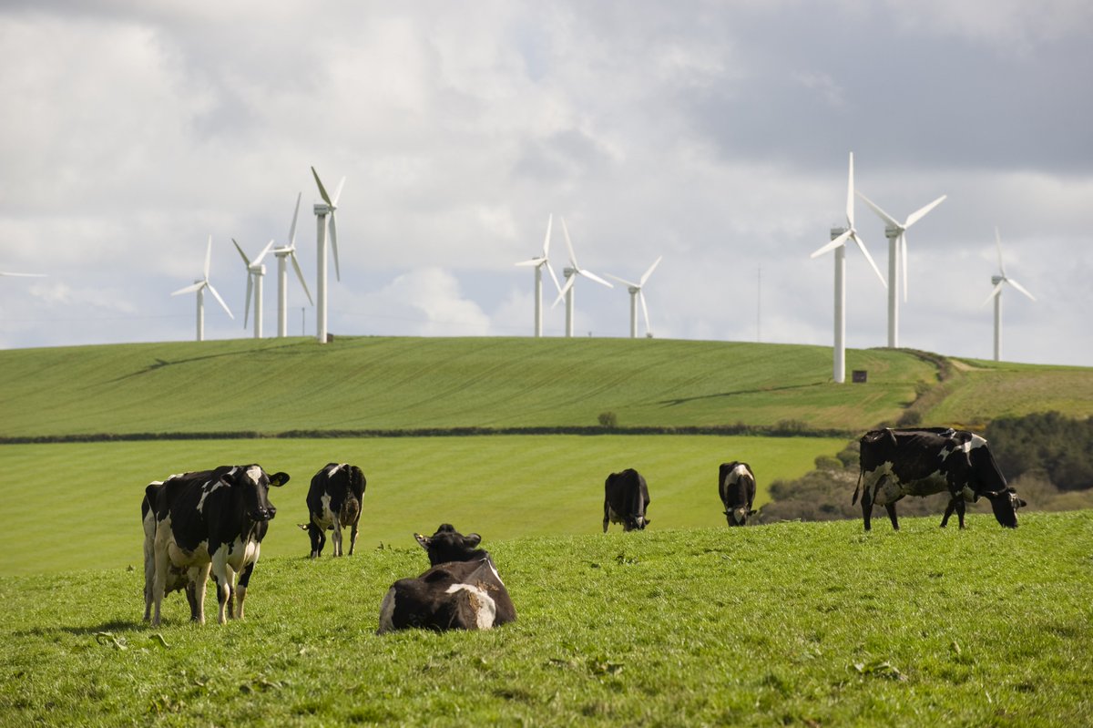 Applications are now open for the <a href="/BBSRC/">Biotechnology and Biological Sciences Research</a> 'Build a network to research sustainable agri-food for net zero' funding call 🌍

With over £4m available, this is an opportunity to bring new ideas and perspectives to the #netzero challenge. 

Find out more 👉 bit.ly/2W8jVUE
