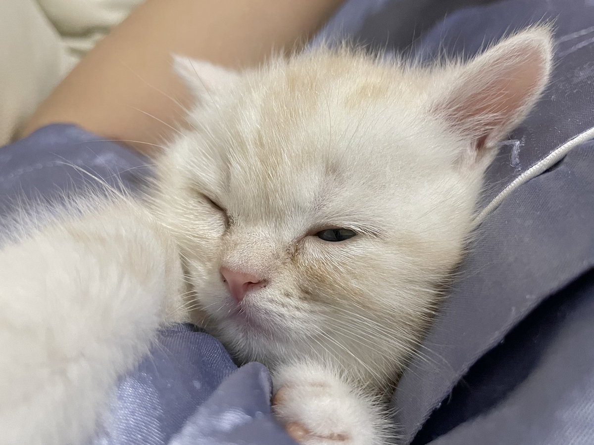 ป๋มขอนอนด้วยนะฮับ 🥺😴