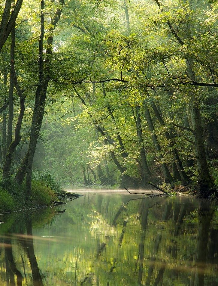 밝아 보이는 사람도
가끔은 우울한날 있고

즐거워 보이는 사람도
때로는 힘든날 있고

완벽해 보이는 사람도
어쩔땐 어려운날 있고

행복해 보이는 사람도
한번씩 괴로운날 있습니다

안 보이고 몰라서 그렇지
삶이란 다 비슷하지요

누구의 삶이든
희노애락이 함께 합니다

-지나간다 다지나간다-