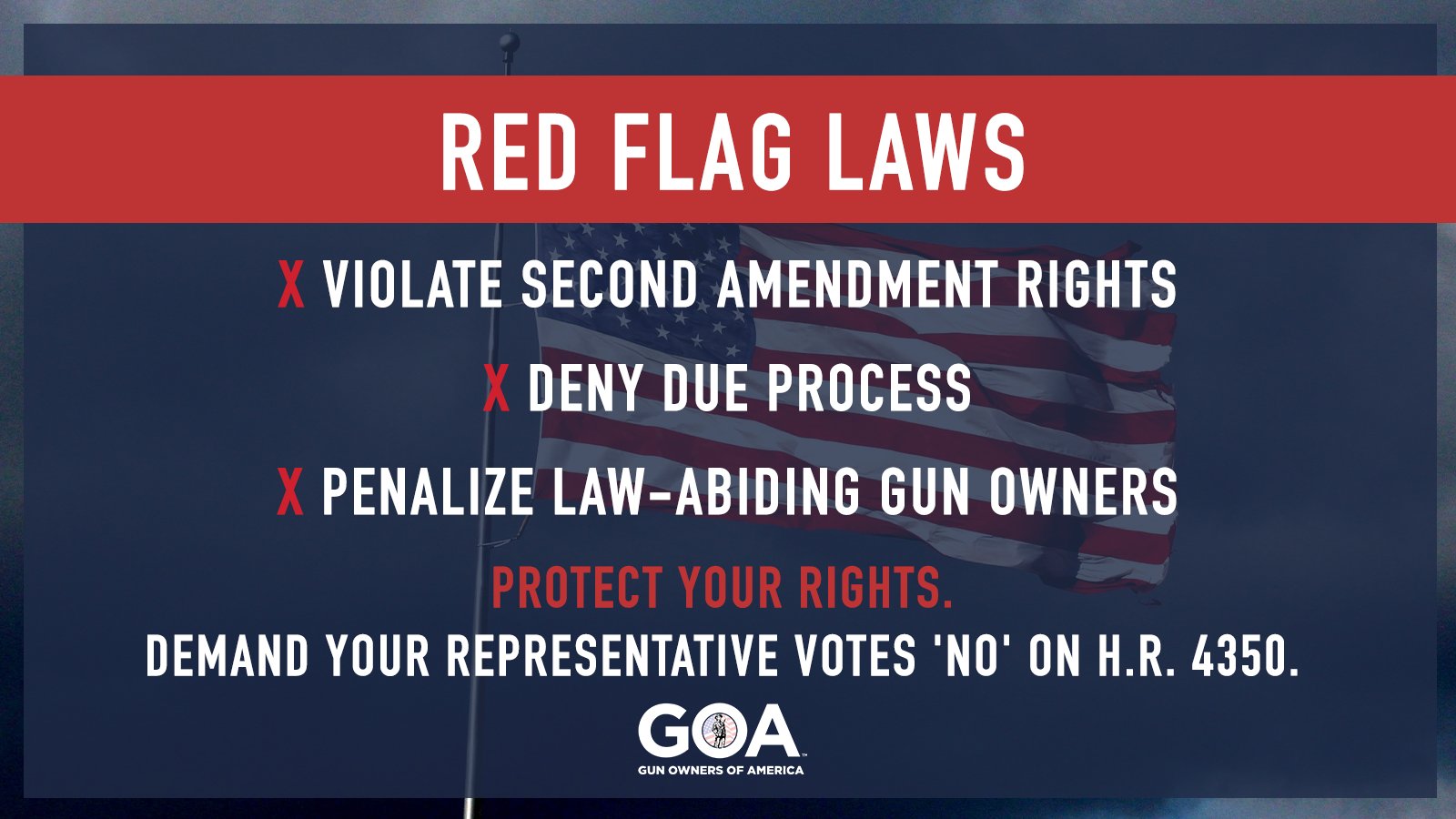 Gun Owners of America on X: &ldquo;Red Flag laws violate the Second 