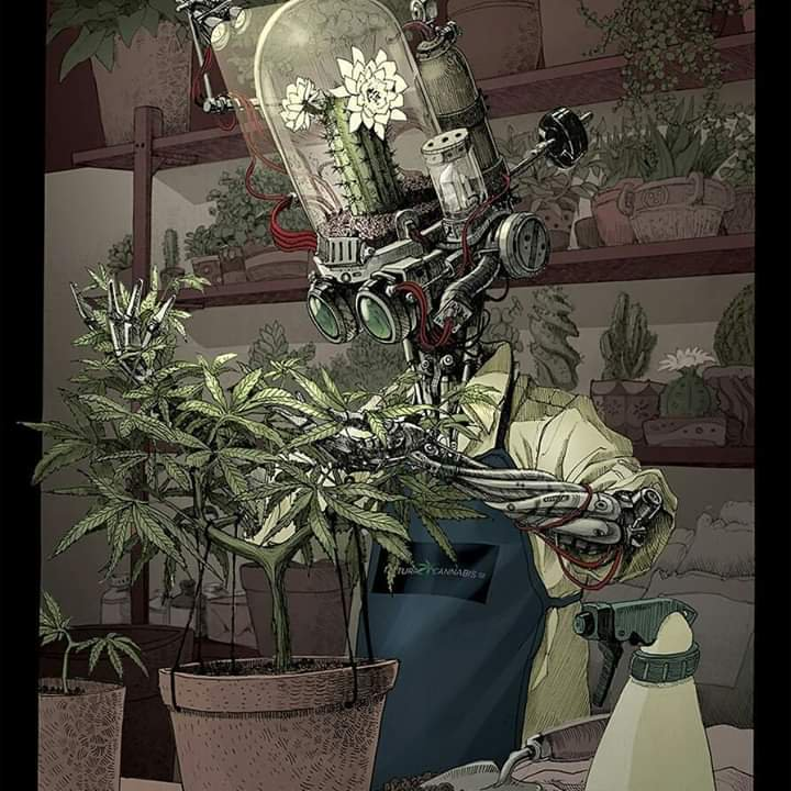 CannaWorld (@cannaworldsite) on Twitter photo 