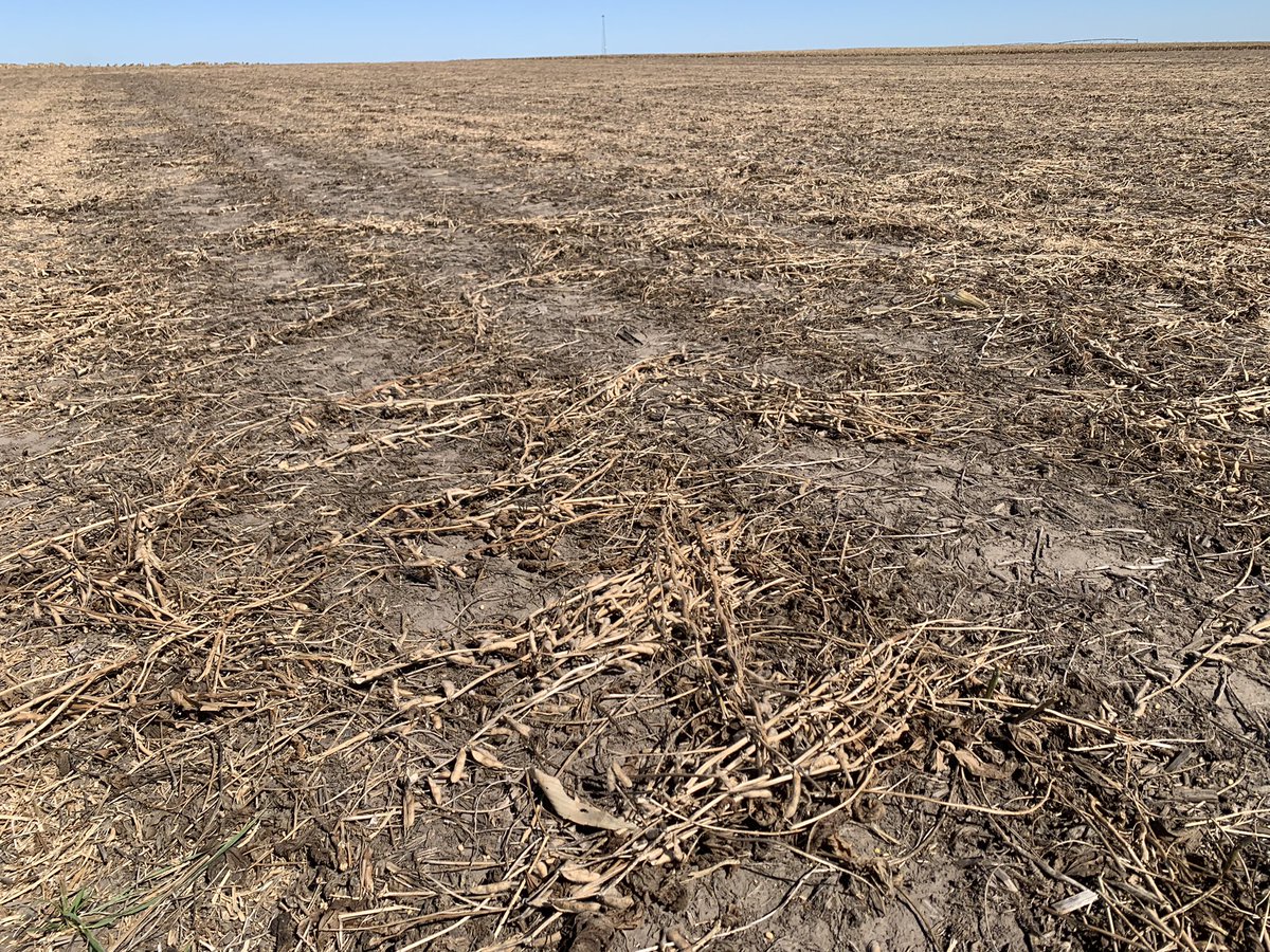 Same story, different year. Avg 7.2 bu/ac yield loss (shrink + harvest loss) btwn 13% &amp; 10% harvest mst, documented over 5 years. A lot of fields “look” green from the road, but the beans are dry. Stem borer lodging will make losses even bigger this year. Don’t sit idle.