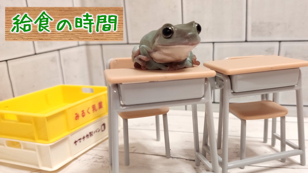 Frogfrog Frogfrogyoutube Twitter
