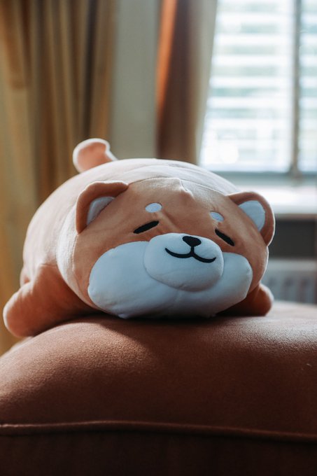 1 pic. What the dog doin ? https://t.co/FDcYl7wGsx