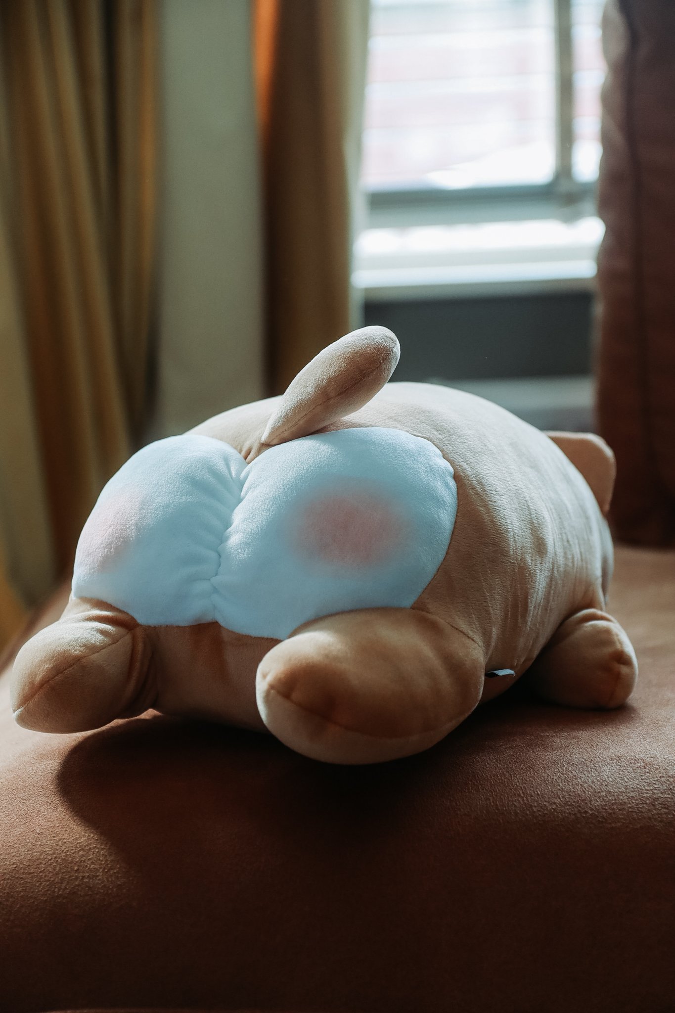 2 pic. What the dog doin ? https://t.co/FDcYl7wGsx