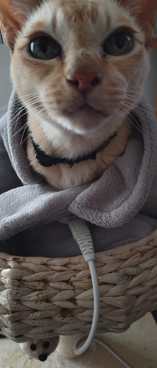 beeeze's tweet photo. Yes. Yes I did. 

#heisold #andcold https://t.co/rq3lJOjxRU
