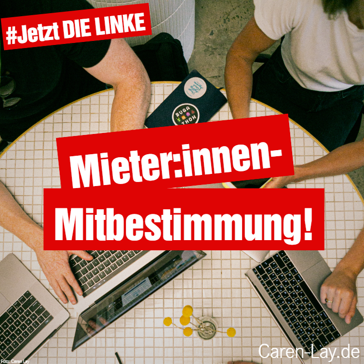 CarenLay's tweet photo. 12. @dieLinke will Mieterinnen und #Mietergemeinschaften und -#syndikate fördern! https://t.co/FWzgZ1tsiY