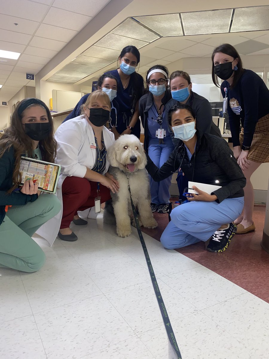 ImWvu's tweet photo. Gus is joining our all female Med 2 team today! https://t.co/De1Tv4oeLG