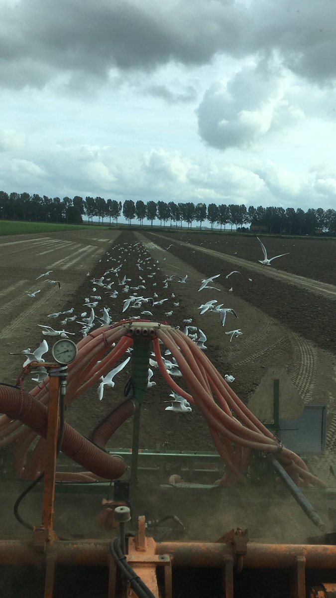 Heerlijk stukje met de spitmachine <a href="/ValtraGlobal/">Valtra</a> <a href="/profytoloonwerk/">profytodsd loonwerk 🚜</a>