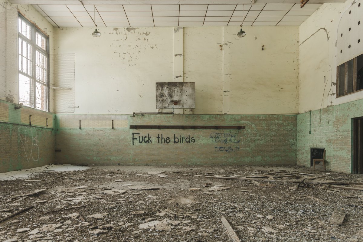 joshbrochelle's tweet photo. An ode to forgotten gymnasiums https://t.co/um2nCQrCt8
