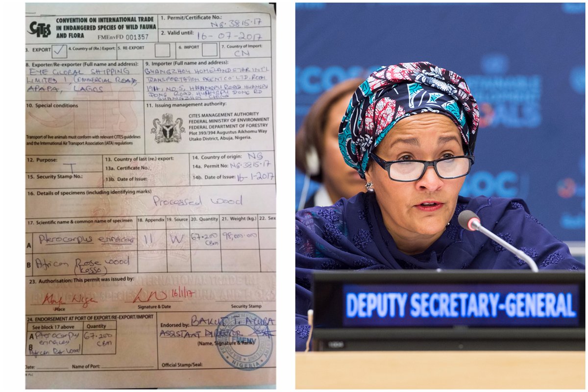 innercitypress's tweet photo. Now in UN Briefing Room she bans Inner City Press from, it's DSG @AminaJMohammed - she has refused every written question about Buhari's treatment of Igboho and Kanu, and about #Cameroon. She didn't like being exposed post-dating endangered rosewood certificates https://t.co/oLpea1blhe