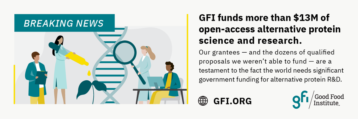 GoodFoodInst's tweet photo. 🚨@LizSpecht just broke the news LIVE @ the GFC:
Our Competitive Research Grant program is back! Today, we're awarding $5M to 22 scientists from 8 countries whose research will address the key scientific bottlenecks facing whole cut alt protein production. https://t.co/cvWofSbGaX https://t.co/TdBorPD5FJ