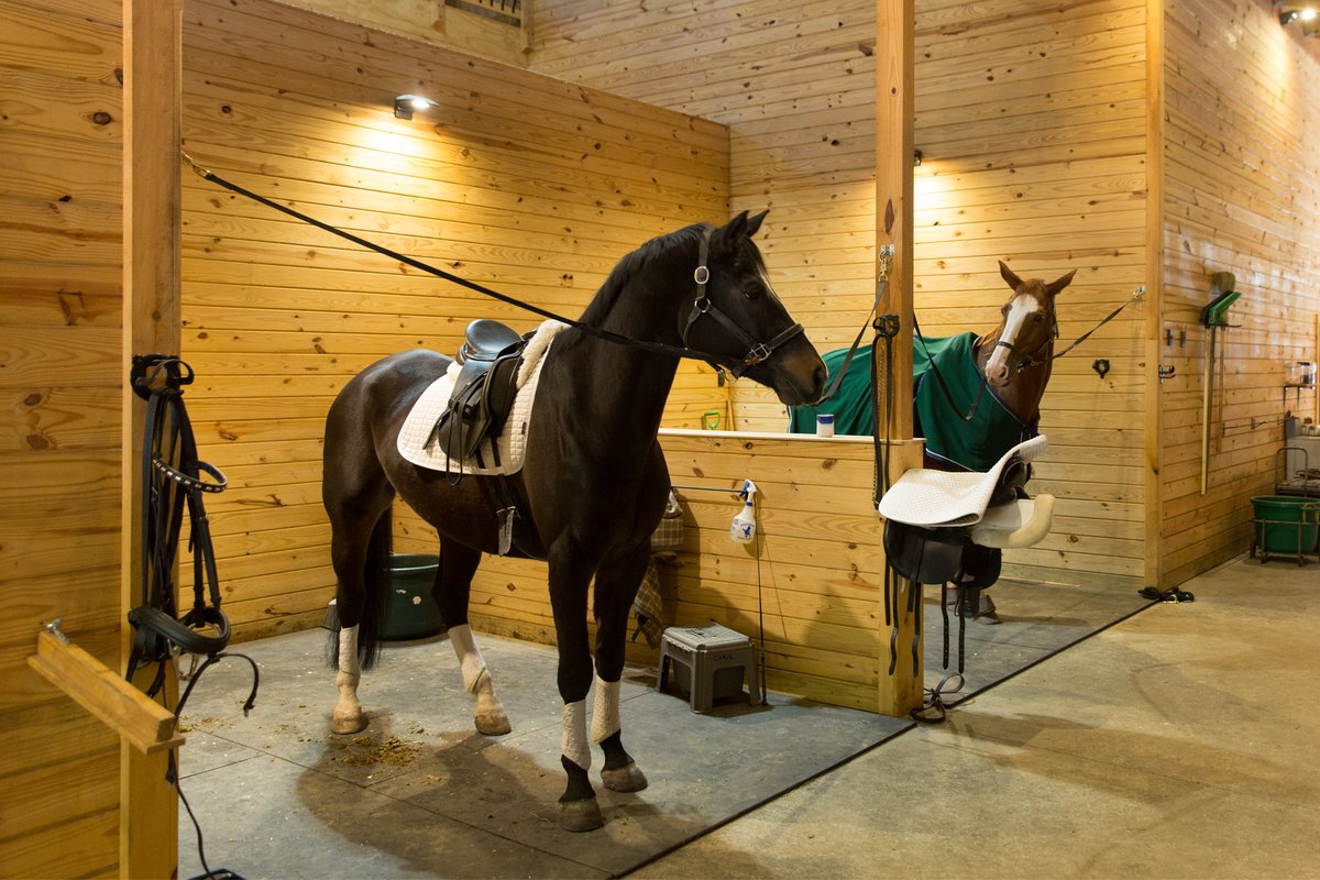 QuarryViewBG's tweet photo. #IAmSorryBut there are no more coats for you.
#barnbuilders #horse #funny #horsebarn https://t.co/or32GA9oO0