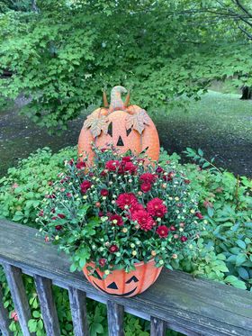 Don't forget to stop by the Academic Boosters table on your way in to the football game to buy raffle tickets for your chance to win this mumkin basket and gift certificate to Ohio Heritage Farm donated by the Clugh Family. Tickets are just $1 each or 6 for $5.