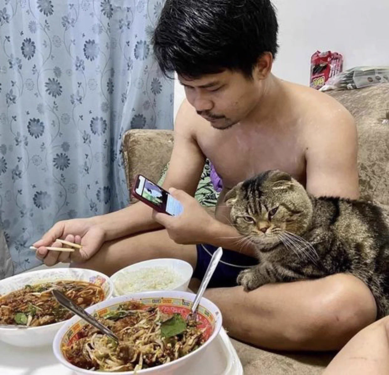 「猫に夫を奪われました」…そう語る妻の嘆きを証拠写真と共に見届けましょう…