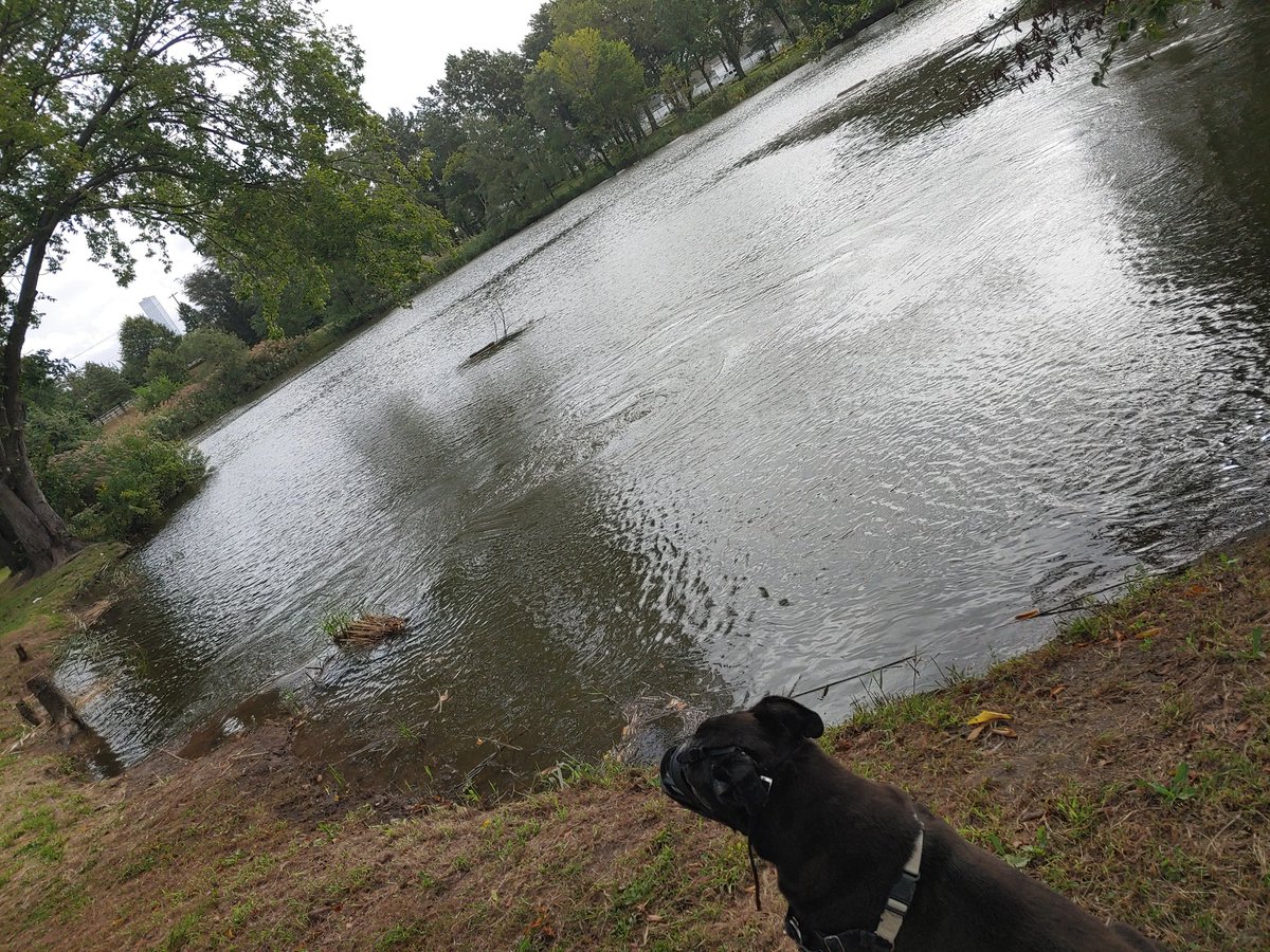 Lower Lincoln Park hours before the next storm. That seems to me to be pretty high with the tide flowing in. I wonder about flash flooding?