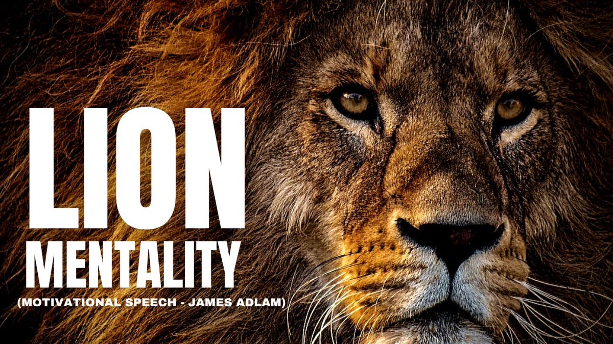 LION MENTALITY values for business and life youtu.be/FMGqvj4P9sk