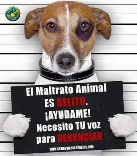 FiloProtector's tweet photo. Hazme viral Cuba🇨🇺 https://t.co/D32dgkJ88F