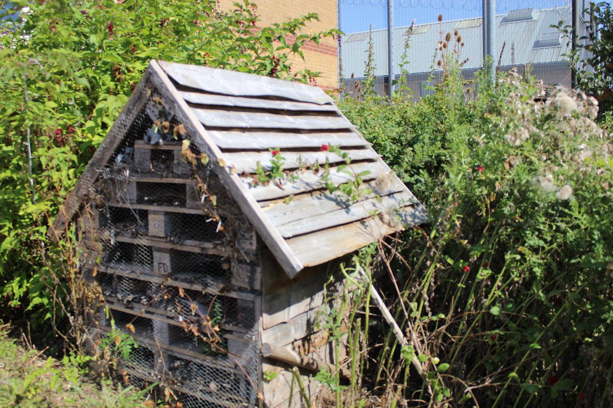Recycling plays a valuable part in further developing HMP Ashfield’s wildlife garden. Our prisoner-made bug hotel was made from reclaimed items from around the prison, mostly old pallet wood and rabbit hutches saved from the skip. <a href="/MoJ_Ecology/">moj</a> #SercoAndProud