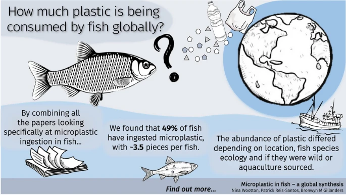 Just out! #Microplastic in #fish – A global synthesis  link.springer.com/article/10.100… #microplastics #pollution #seafood #fisheries #aquaculture #health