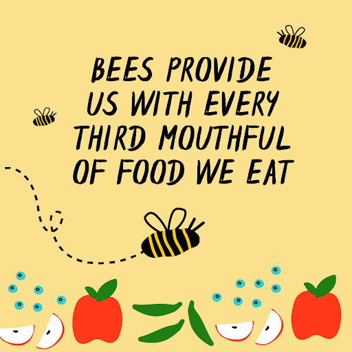 BuryArtMuseum's tweet photo. Without bees we wouldnβt be able to grow many of our favourite foods such as apples, blueberries and green beans.
Take part in #WalkForTheBees this autumn and help Buryβs bees.
https://t.co/R14wc7ttzj https://t.co/Ub1TchpZyb