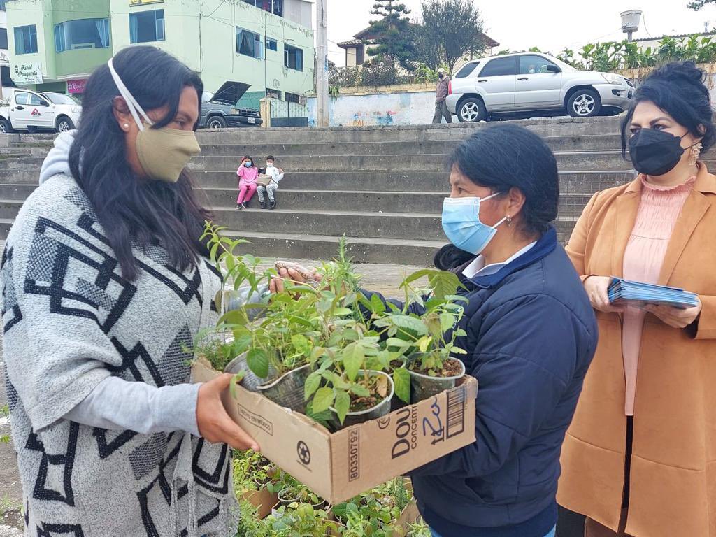 FOPARTUN's tweet photo. #FondoPáramosTungurahua | Mediante acuerdo interinstitucional entre el Fondo de Páramos Tungurahua, Gobierno Provincial y Ministerio de Inclusión Económica y Social (MIES), se financió 170 kits de plantas y semillas para la implementación de huertos familiares. 

#ElAguaNosUne https://t.co/xTsw6E4NjQ