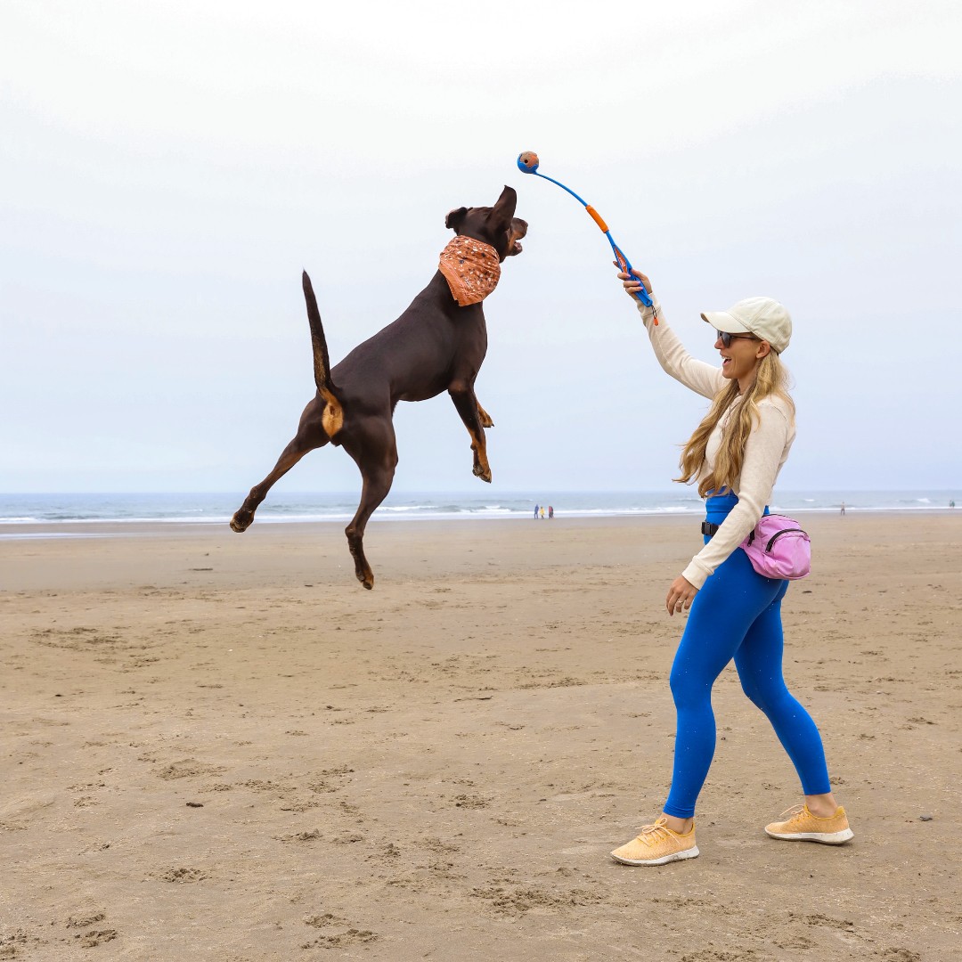 It's the last day to enter to win a National Fetch Day Party Box! Be sure to post a picture of your dog enjoying fetch, Tag us and two friends, and use #NationalFetchDay! Winners will be contacted directly! #NationalFetchDay #MakeFetchHappen 📸: @courtandnate