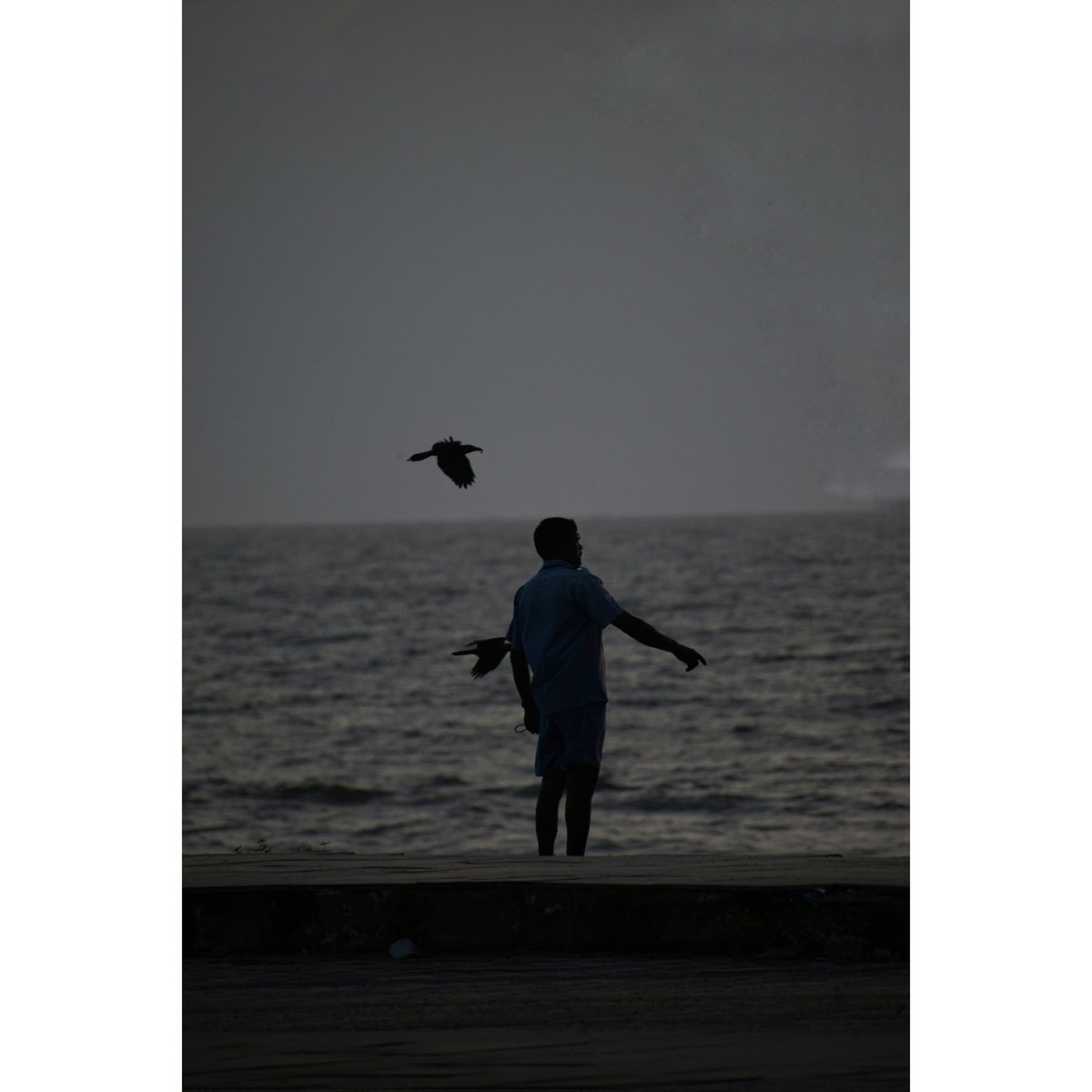 Flight.

#evening #beachphotography  #photography #art #photooftheday #picoftheday #forevermagazine  #littlerivermag #portfolioday #vsco #archivecollectivemag #aboutlightmag #photocinematica #filmshooter #reframedmag #magazine35mm #artofvisuals #cinematicshine