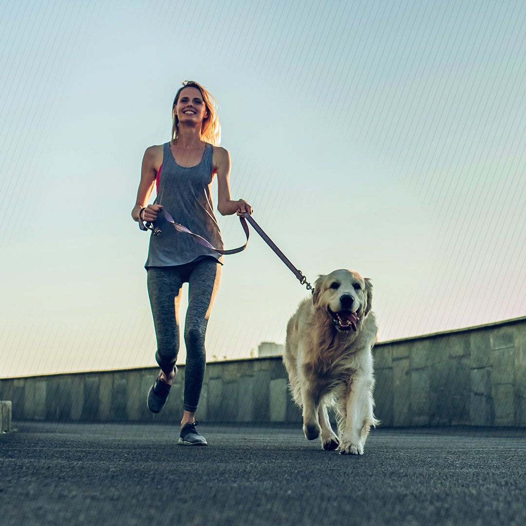 SportsArt tweet media