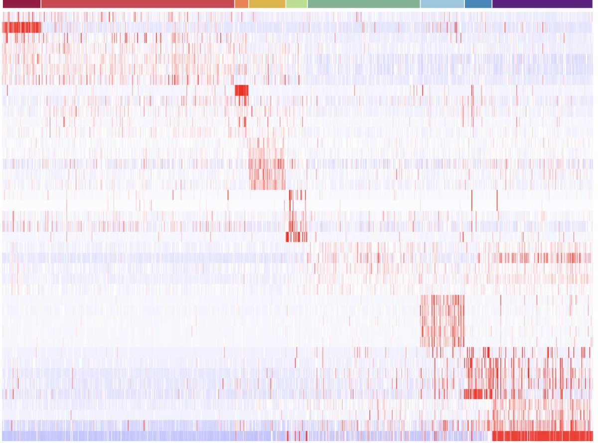 CRISPRbrain's tweet image. @CRISPRbrain is welcoming a new cell type: the #astrocyte! Check out the new datasets at CRISPRbrain.org. And try out our recently added features to explore CRISPR screens with single-cell RNA-seq readouts (UMAP, cluster views...)! We look forward to your feedback.
