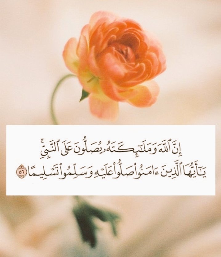 🌺🌺@AlhadeerA 1🌺🌺 (@1alhadeera) on Twitter photo <a href="/osamah32568005/">حمد الحربي</a> <a href="/s99533/">بومبارك</a> @AlhadeerA <a href="/mm_alquwayfili/">محمد صالح القويفلي</a> اللهم صل وسلم وبارك على سيدنا ونبينا وحبيبنا وقدوتنا وشفيعنا يوم القيامه محمد وعلى آله وصحبه أجمعين
. <a href="/osamah32568005/">حمد الحربي</a> <a href="/s99533/">بومبارك</a> @AlhadeerA <a href="/mm_alquwayfili/">محمد صالح القويفلي</a> اللهم صل وسلم وبارك على سيدنا ونبينا وحبيبنا وقدوتنا وشفيعنا يوم القيامه محمد وعلى آله وصحبه أجمعين
.