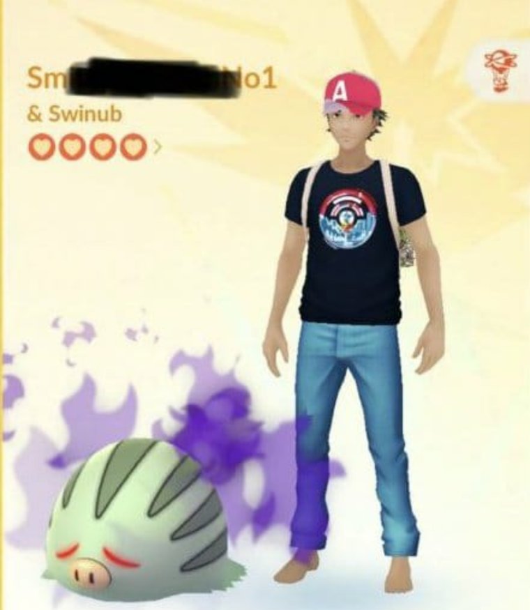 LegionPokemonMx's tweet photo. #SwinubShiny activado por error en las #Pokeparadas del #TeamRocket https://t.co/aIBQVnCEzM