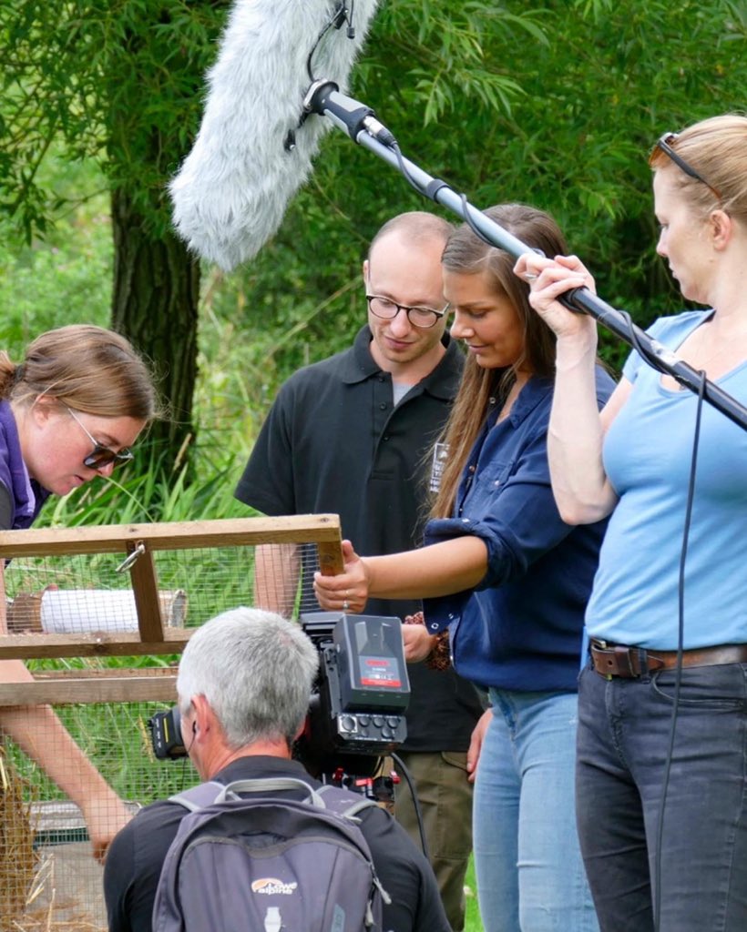 HannahStitfall's tweet image. 📺 Tune in tonight at 7pm on @BBCOne for a magic conservation story! 🌿🐾

Was a pleasure to present a film for @BBCTheOneShow with @VerValleySoc &amp;amp; @HMWTBadger reintroducing 150 water voles back into the River Ver! Fantastic work by all!

Thanks @picturespete &amp;amp; Russel Savory X